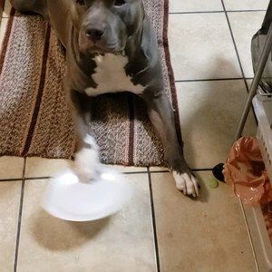 Meet your Posher, El